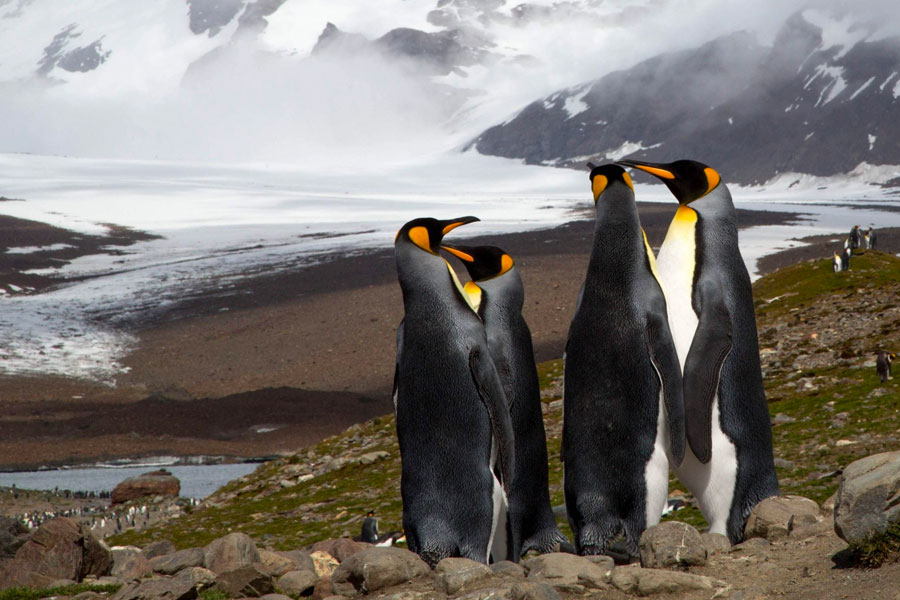 The Benefits Of Using Assignment Groups In Salesforce